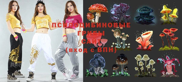 гидропоника Михайловск
