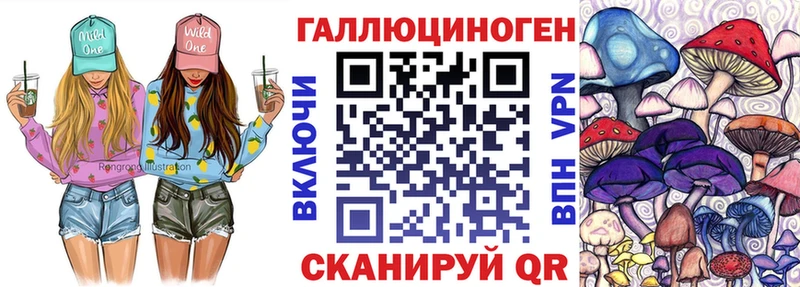 Купить закладки Архангельск Галлюциногенные грибы Cubensis